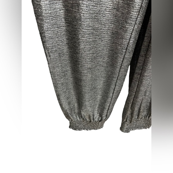 BY ANTHROPOLOGIE Gillian Silver Shimmer Jogger Pants NWT XS - Picture 5 of 6